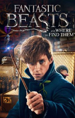 Fantastic Beasts and Where to Find Them