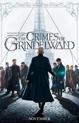 Fantastic Beasts: The Crimes of Grindelwald (Newt Scamander x Female!Reader)