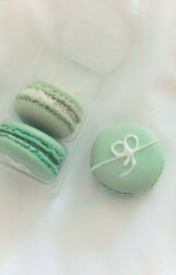 faran | mint macaron