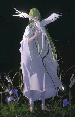 fate grand order >> enkidu