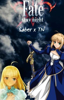 Fate Stay Night - Saber x TN