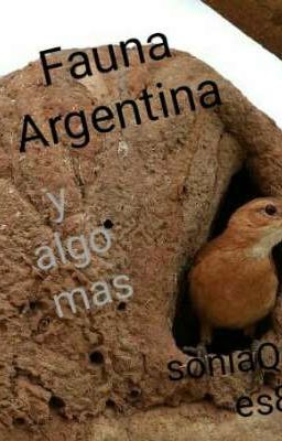 FAUNA ARGENTINA y algo más....