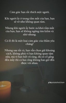 FD x Người có tình liệu có về bên nhau?