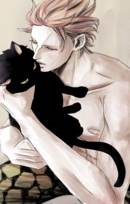 Feel my pain, kitten! Eustass Kid x Reader One - Shot