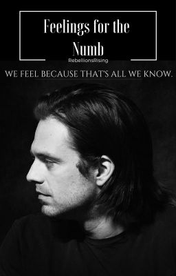 Feelings For The Numb || Bucky Barnes AU