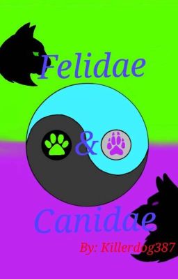 Felidae and Canidae ||Chat Noir x Reader||