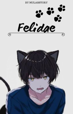 Felidae / Kürbistumor