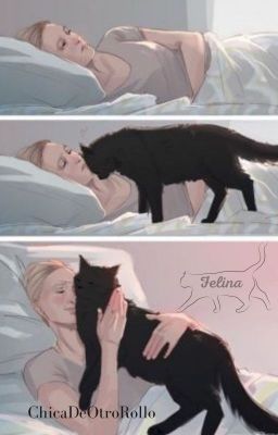 Felina | Supercorp AU