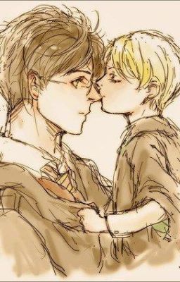 Feliz aniversario Drarry (one shot Lemmon)