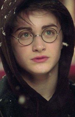 [fic dịch][HP fanfic] Vẫn là một Potter dù có dưới cái tên nào đi chăng nữa.