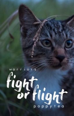 Fight or Flight :: warrior cats fanfic ::