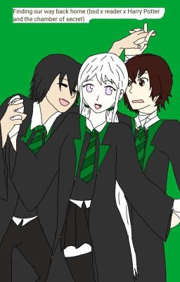 Finding our way back home (bsd x reader x Harry Potter and the chamber of secret