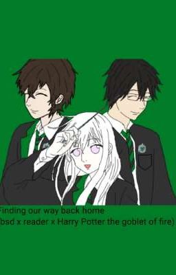 Finding our way back home (bsd x reader x Harry Potter the goblet of fire)