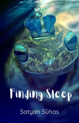 Finding Sleep