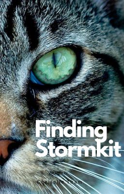 Finding Stormkit