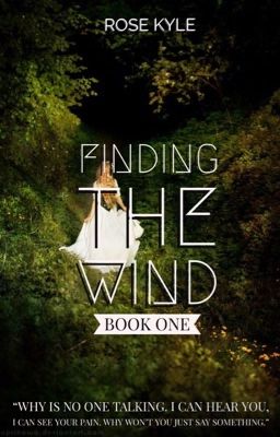 Finding the Wind