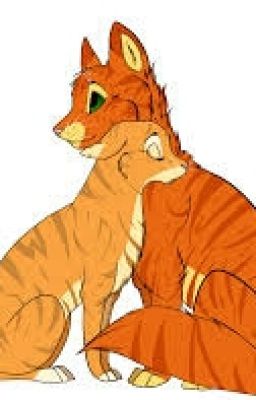 firestar x rainbowfur