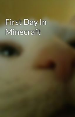 First Day In Minecraft