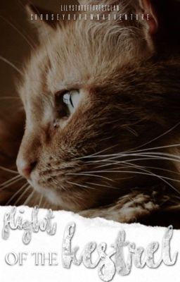 Flight of the Kestrel - a Warrior Cats Choose Your Own Adventure Story