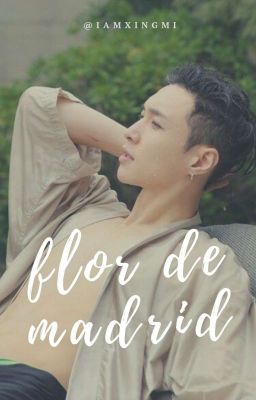 flor de madrid  [ sulay ]