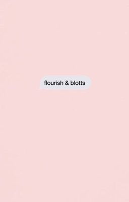 flourish and blott, harry potter plot shop