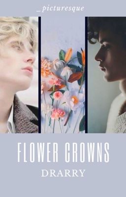 flower crowns | drarry