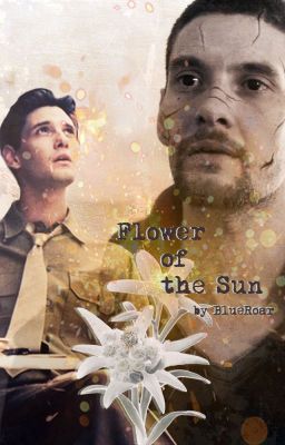 Flower of the Sun