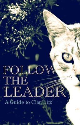 Follow The Leader | A Guide to Clan Life