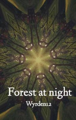 Forest at night