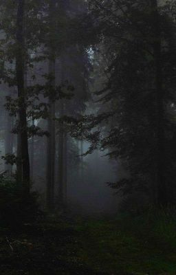 Forest Fic ; Crosserror