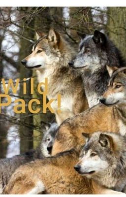 Forest Pack!