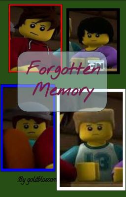 Forgotten Memory