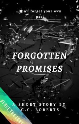 Forgotten Promises (Complete: MxM FreetheLGBT Valentine's Comp)