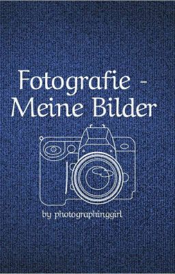 Fotografie - Meine Bilder 