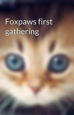 Foxpaws first gathering