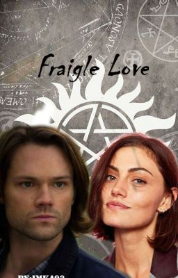 Fragile Love || Sam Wichester x Reader (One-Shot)