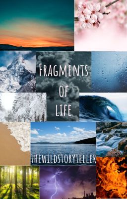 Fragments of Life