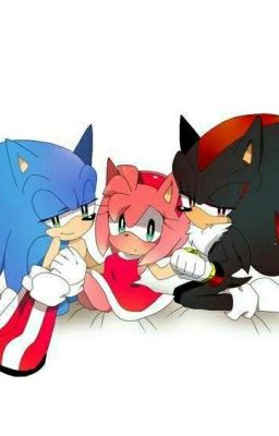 (freedom fighter)《-sonamy vs (G.U.N)- 》shadamy 