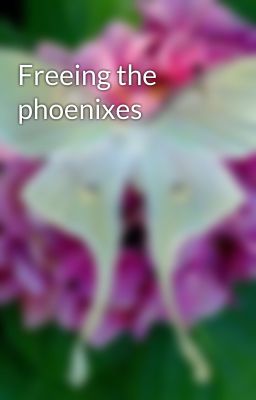 Freeing the phoenixes 