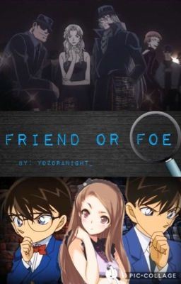 Friend or Foe (Detective Conan/Case Closed Fanfic)