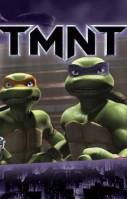 Friends from another world...tmnt fanfic