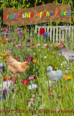 Friendship of the Flock