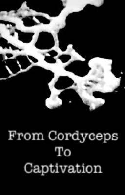 From Cordyceps to Captivation (A BNHA Multi-Ship Fic)