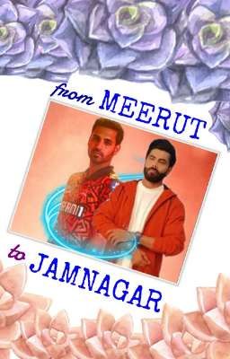 from MEERUT to JAMNAGAR 