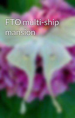 FTO multi-ship mansion