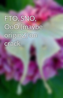 FTO, SNO, OoO (maybe originZ) on crack 