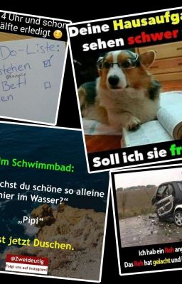 Funny Fotos, Memes, Sprüche und so weiter.