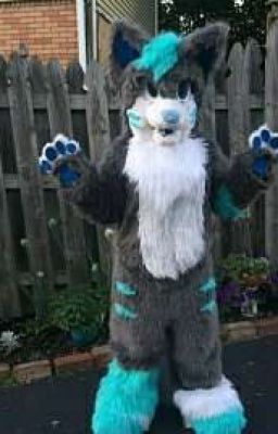 Furry in Escanaba Michigan