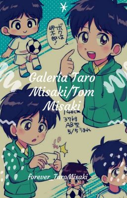 Galeria Taro Misaki//tom Misaki