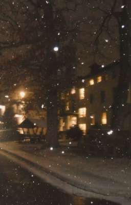 Găng tay - |Landoscar|